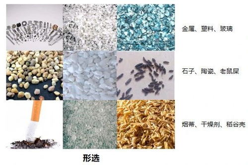 至净时代 净享旗舰版 四摄复合双视大米色选机新品首发